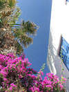 Mykonos Bay Hotel 